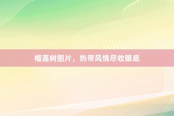 榴莲树图片，热带风情尽收眼底